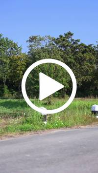 BIB:  <button type="button" onclick="openModal(27573596)" class="btn btn-primary btn-sm float-right" data-toggle="modal" data-target=".modal-high-quality">
                <i class="fa fa-download"></i> Download
                </button>